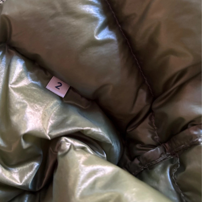 Moncler Acorus Down Jacket (Green)