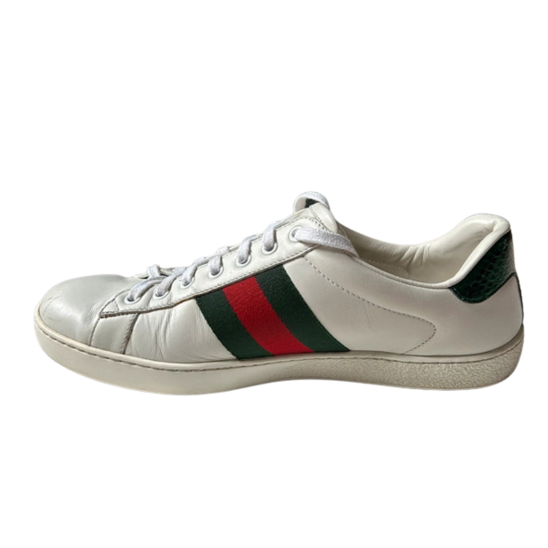 Gucci Ace Sneakers (White)