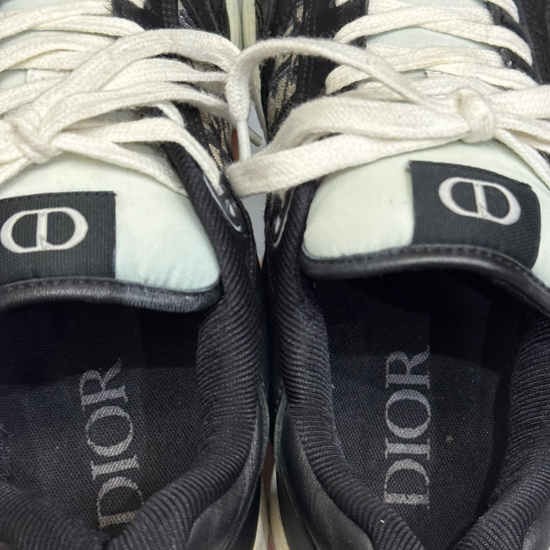 Dior B27 Low Sneakers (Black)