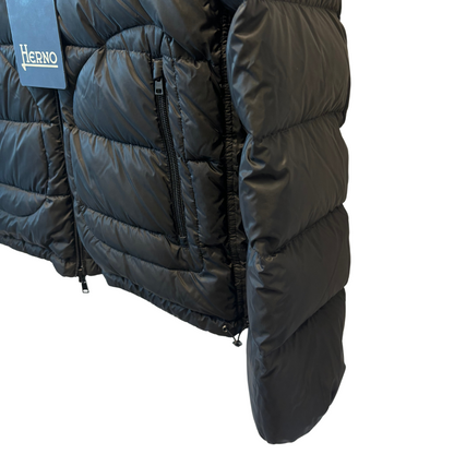 Herno Down Jacket (Black) (New)