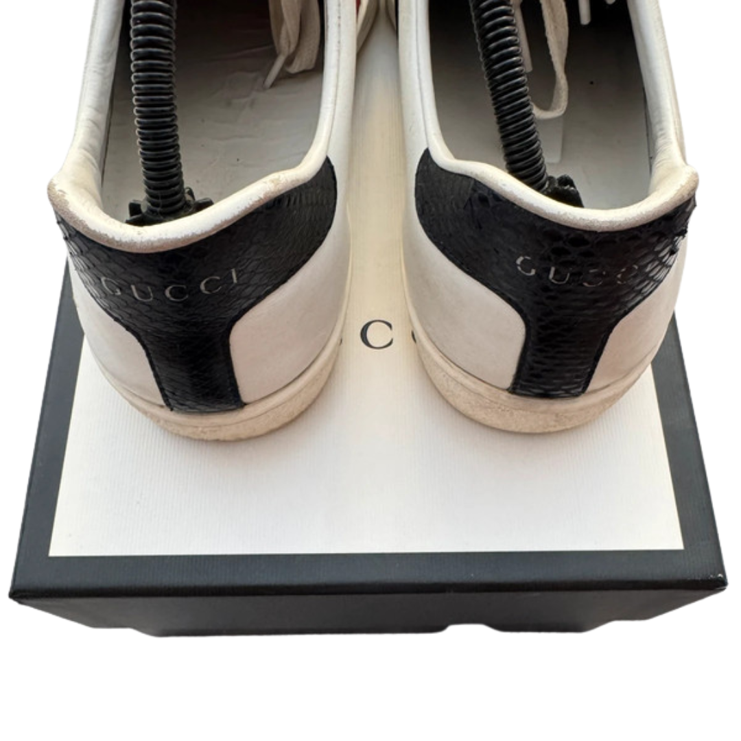 Gucci Ace Sneakers (White)